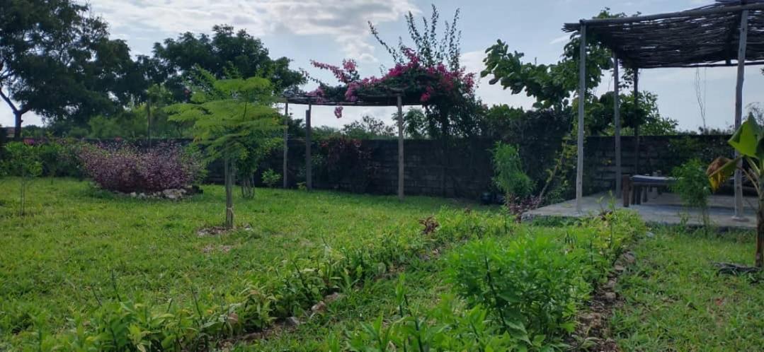 Matemwe Ocean View Villas Bagian luar foto