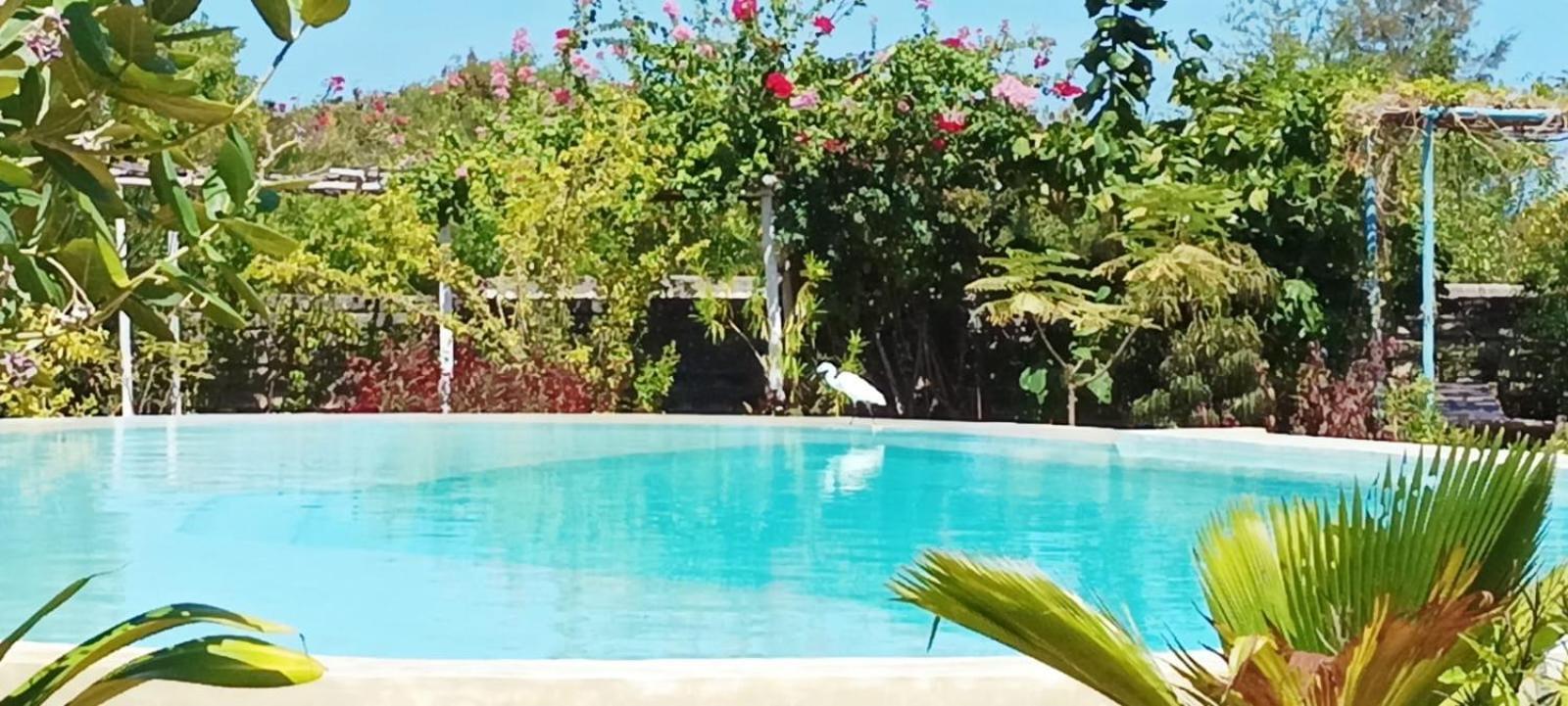 Matemwe Ocean View Villas Bagian luar foto